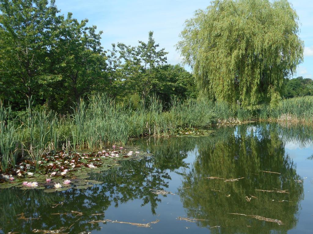 Ferme De La Canardiere Chantilly Zewnętrze zdjęcie